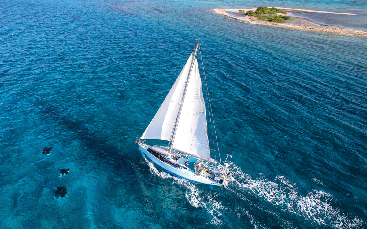 best-ever-bluewater-yachts-Cal-40-credit-Voyage-of-Swell