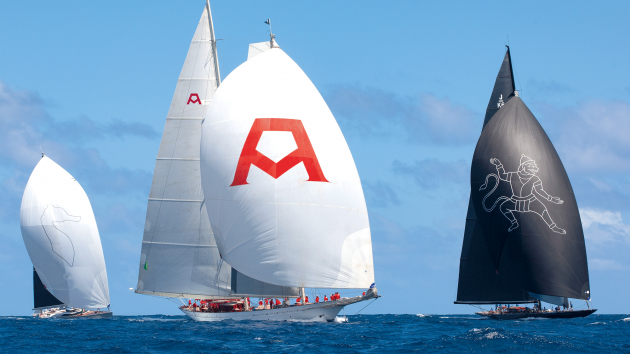 Adela and other yachts sailing