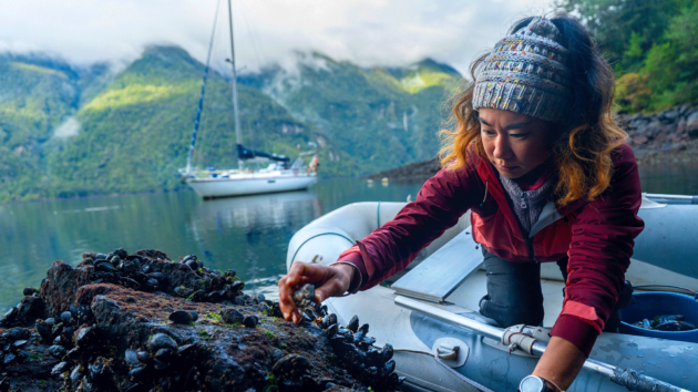 Last fjord, last catch – mussels at Estero Cahuelmo.